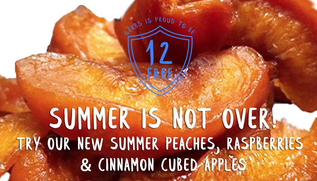 GERBS ALLERGY FRIENDLY DRIED FRUITS