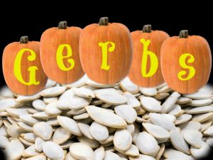 Nutritional Value of Gerbs Pumpkin Seeds