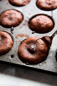 Bake Dark Chocolate Chips