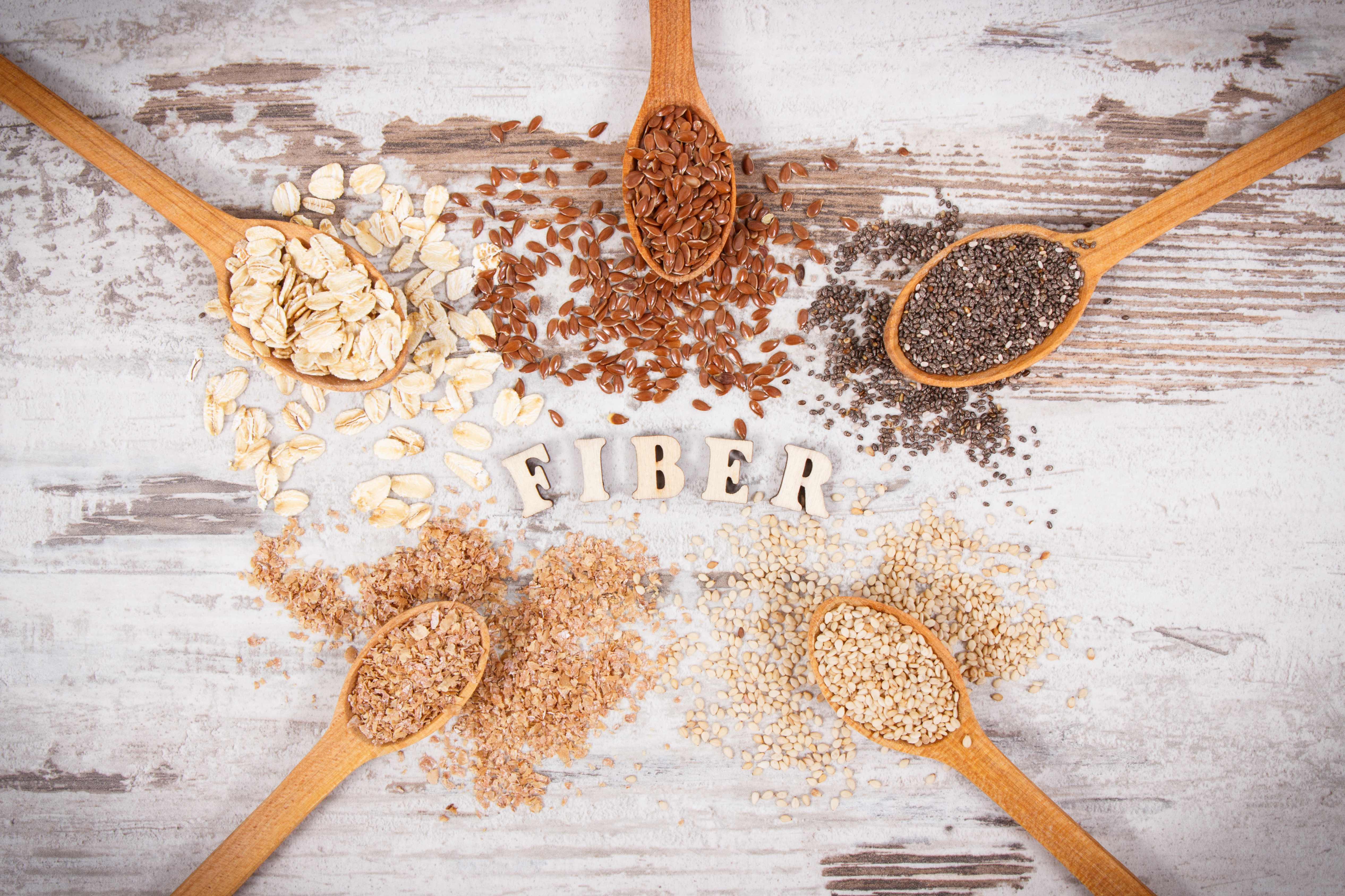What is Fiber and what are its resources
