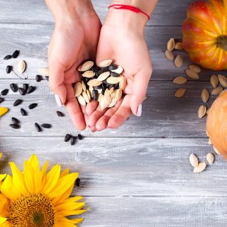 ketogenic diet with different seeds