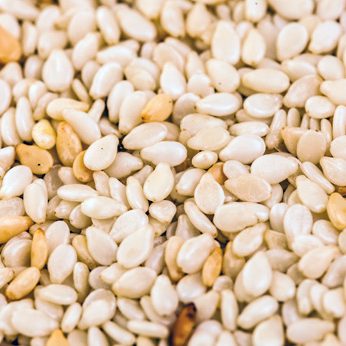 sesame-allergens Gerbs Allergy Hub - Sesame Allergens