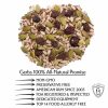 Cape Cod Antioxidant Raw Salad Mix Gluten & Peanut Free