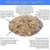 Pumpkin Sunflower Chia Flax Hemp Raw Seed Mix Health Benefits