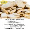 Salt Lovers Dry Roasted In Shell Pumpkin Seeds - Whole Pepitas Fresh Quality Foods