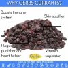 Dried Black Zante Variety Premium Greek Currants, No Added Sugar, Resealable Bag Health Benefits