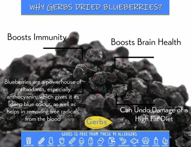 Dried Premium USA Grade Cape Cod Blueberries, Sweetened, Resealable Bag Health Benefits