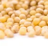 Premium USA Grade White Millet Grain, Resealable Bag Preservative free all natural ingredients