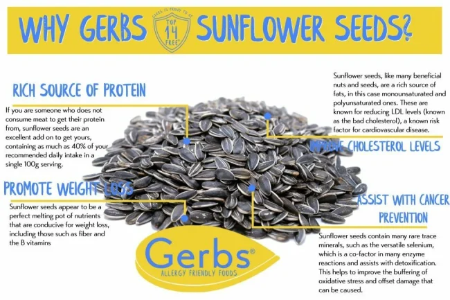 Raw Premium USA Grade Sunflower Seeds, In Shell, Resealable Bag Health Benefits