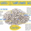 Raw Premium USA Grade Sunflower Seed Kernels, out of shell, Resealable Bag Health Benefits
