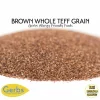 Premium USA Grade Brown Teff Grain, Resealable Bag Allergy Friendly FoodsPremium USA Grade Brown Teff Grain, Resealable Bag Qualities
