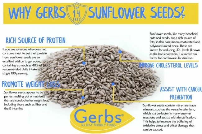 Unsalted Roasted Premium USA Grade Sunflower Seed Kernels, out of shell, Resealable Bag Health Benefits