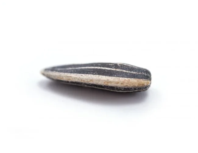 Toasted Onion & Garlic Dry Roasted Sunflower Seeds, In Shell, Resealable Bag Health Benefits