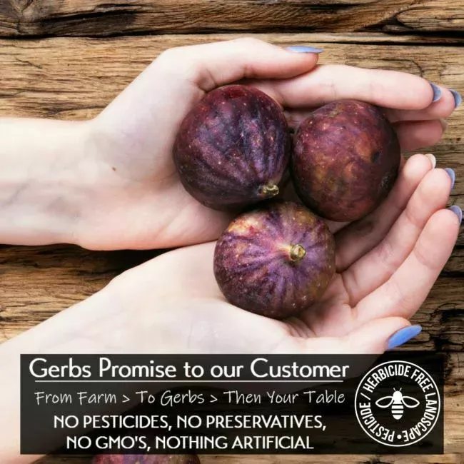 Dried Premium Grade Turkish Figs, No Sugar Added, Resealable Bag Preservative free all natural ingredients