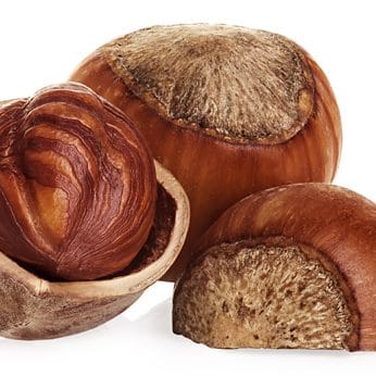 Tree nuts