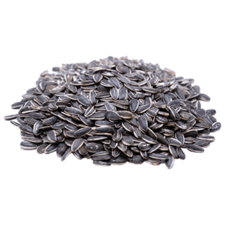 seeds