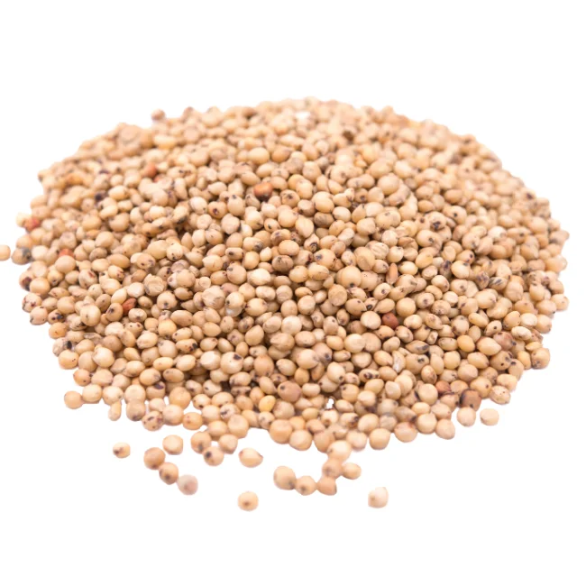 White Whole Sorghum Grain