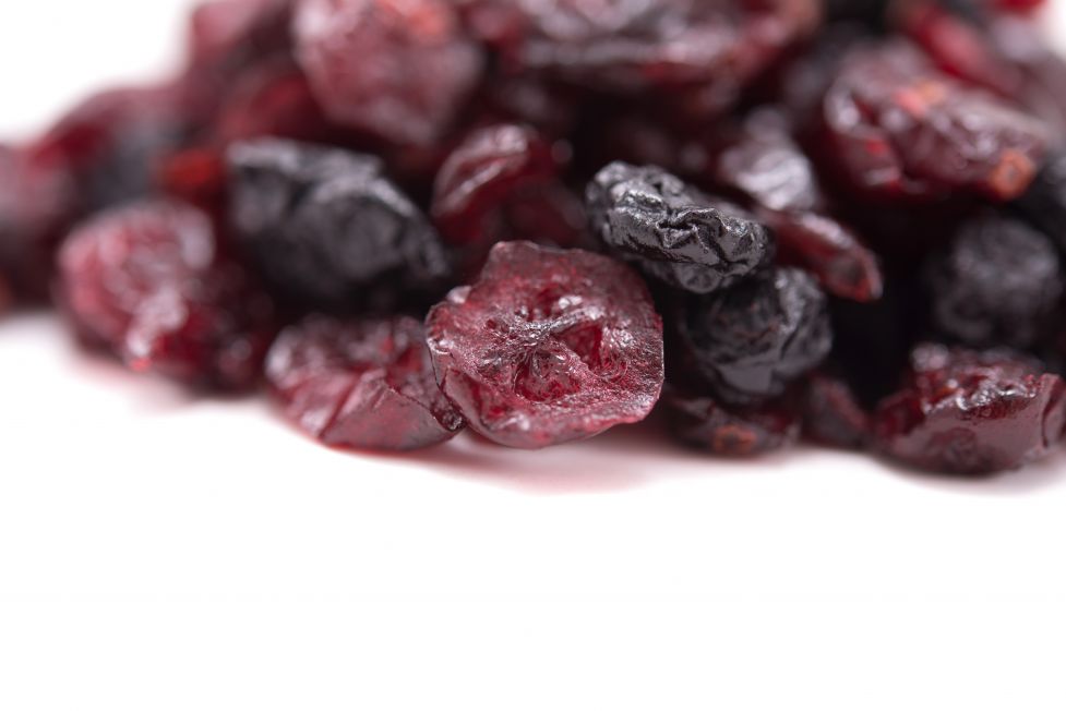 Dried Blueberry & Cranberry Fruit Mix Allergy Friendly Foods MyGerbs