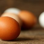 Gerbs Allergy Hub - Egg Allergens