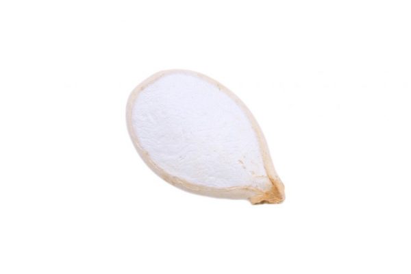 roasted unsalted pumpkin seeds in shell