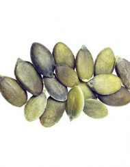 Seeds