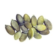 Seeds