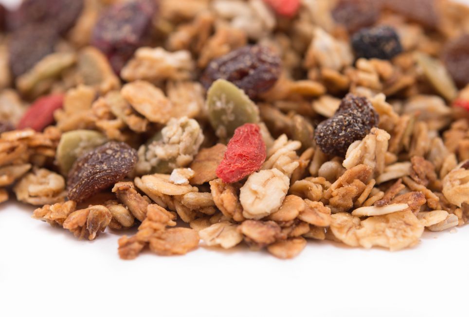 dried cherry blueberry fruit mix 1 lb bag food allergy safe