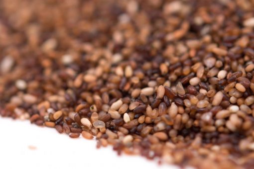 Teff Grain - Allergy Friendly Foods - NON-GMO - MyGerbs