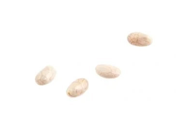Raw White Chia Seeds Multiple