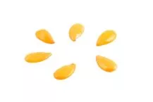 Raw Golden Flax Seeds close up