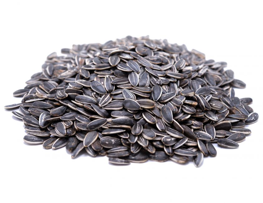 Raw Sunflower Seeds Jumbo In Shell Gerbs Allergy Friendly Foods