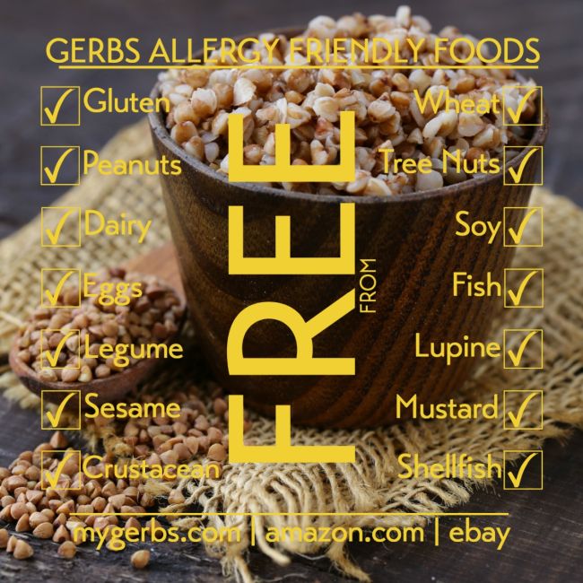 Buckwheat Grain Allergy Friendly Foods MyGerbs