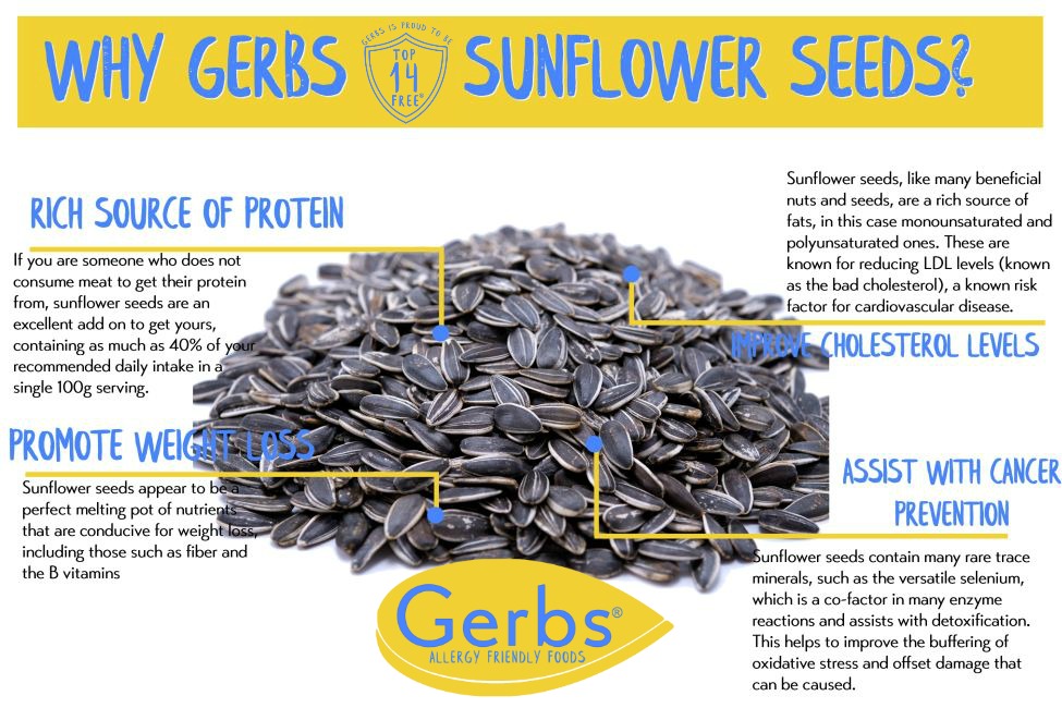 Lightly Sea Salted Dry Roasted whole Sunflower Seeds MyGerbs