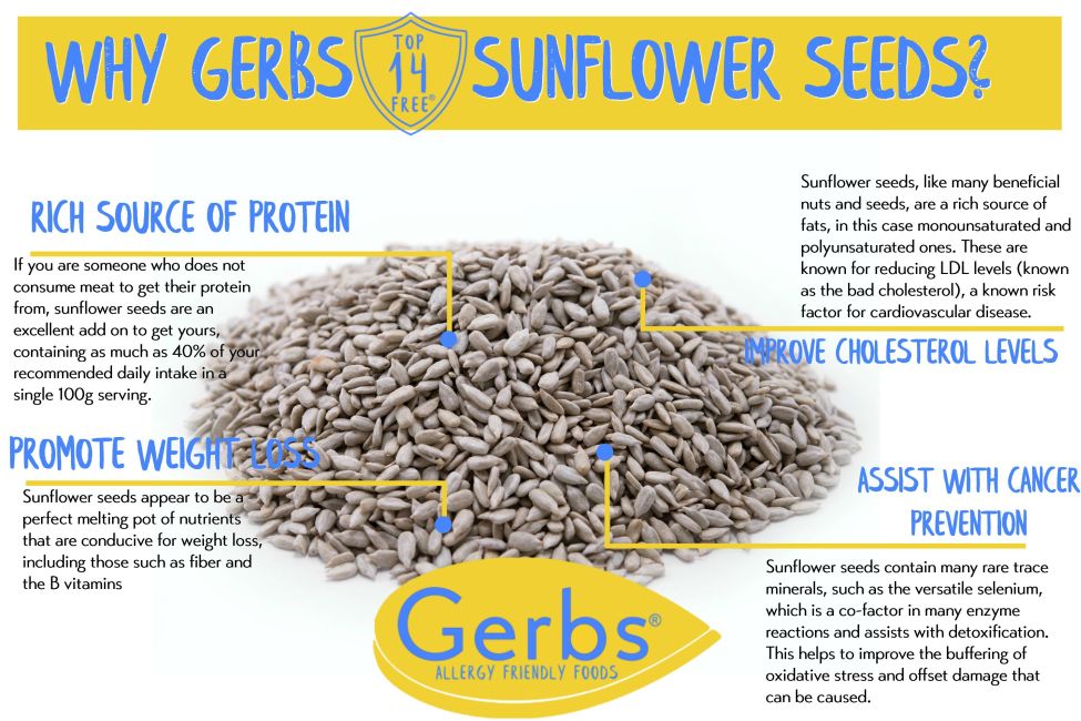 Unsalted Dry Roasted Sunflower Seed Kernels MyGerbs