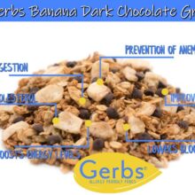 Banana Dark Chocolate Chip Granola Health Benefits