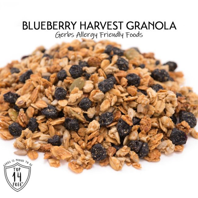 Blueberry Harvest Granola Naturally Vegan