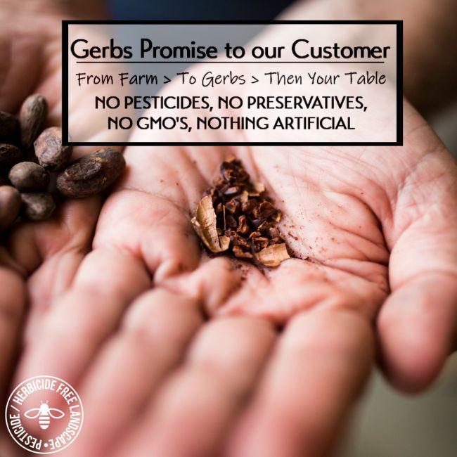 Cacao Nibs Preservative free all natural ingredients
