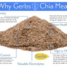 Chia Seed Meal - Full Oil Content Protein Powder Health Benefits