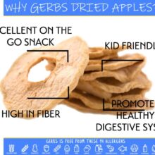 Dried Apple Slices Health Benefits