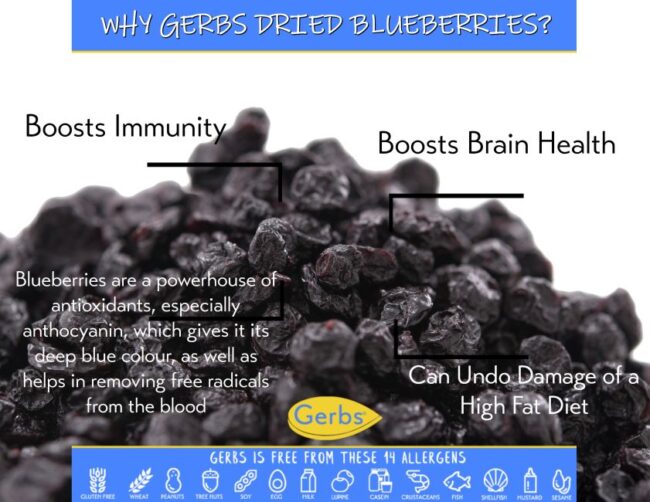 Dried Cape Cod Blueberries Health Benefits