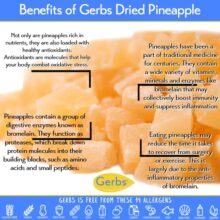 Dried Chopped Pineapple Cubes Health Benefits