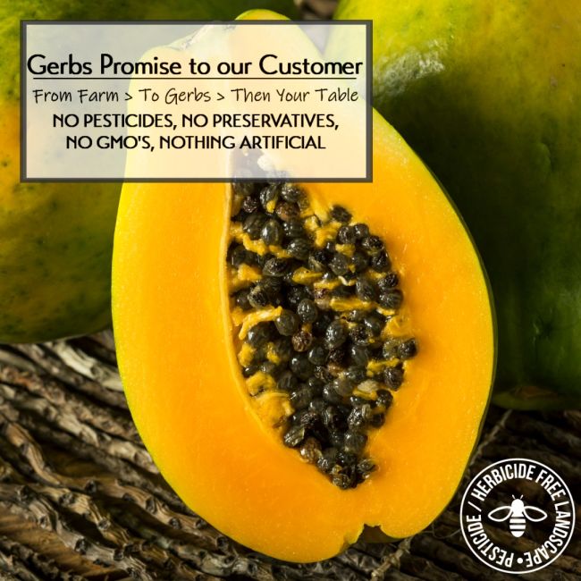 Dried Papaya - Sweetened Slices Preservative free all natural ingredients