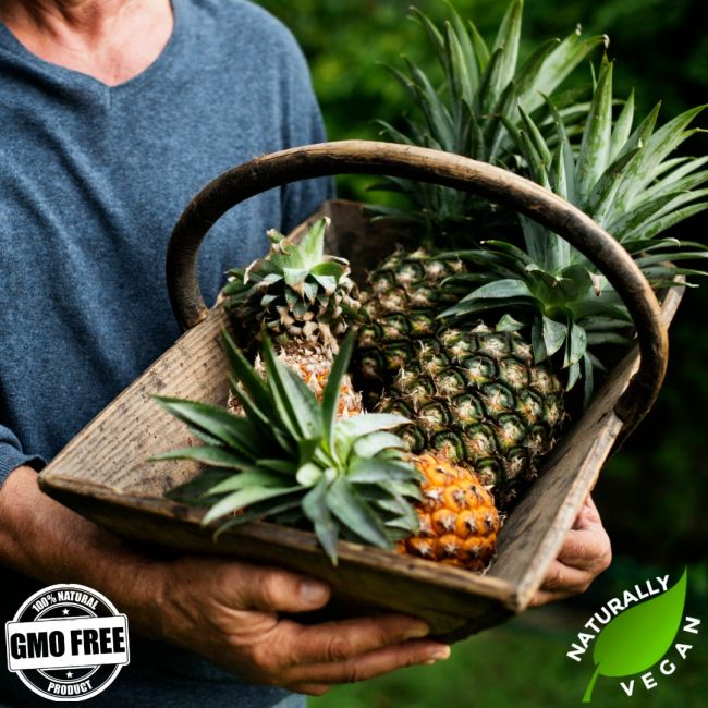 Dried Pineapple Chunks No Added Sugar Naturally Vegan