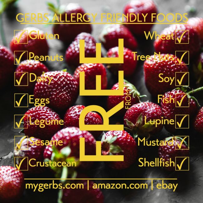 Dried Strawberries Free from Top 14 Food Allergens