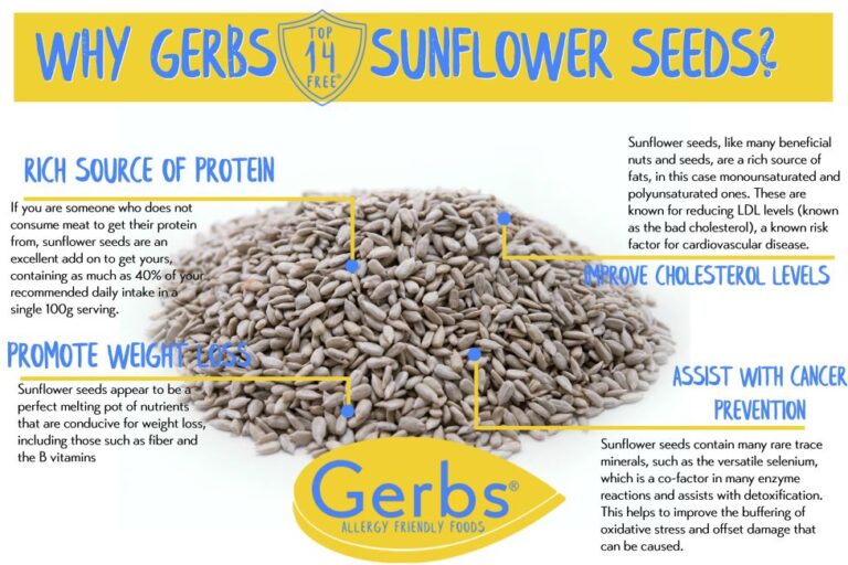 Lightly Sea Salted Dry Roasted Sunflower Seed Kernels MyGerbs