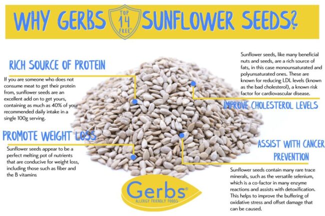 Raw Shelled Sunflower Seed Kernels Health Benefits