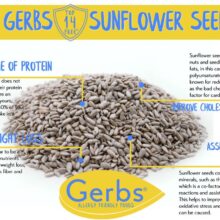 Sea Salted Dry Roasted Sunflower Seed Kernels Health Benefits