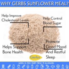 Sunflower Seed Meal - Full Oil Content Protein Powder Health Benefits