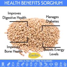 White Sorghum Health Benefits