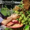Amaranth Naturally Vegan